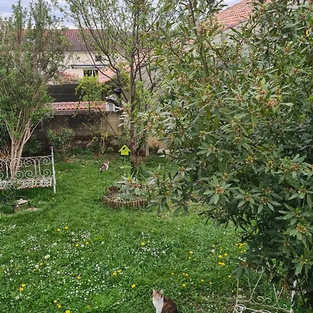 לינה וארוחת בוקר Pierre קונדום